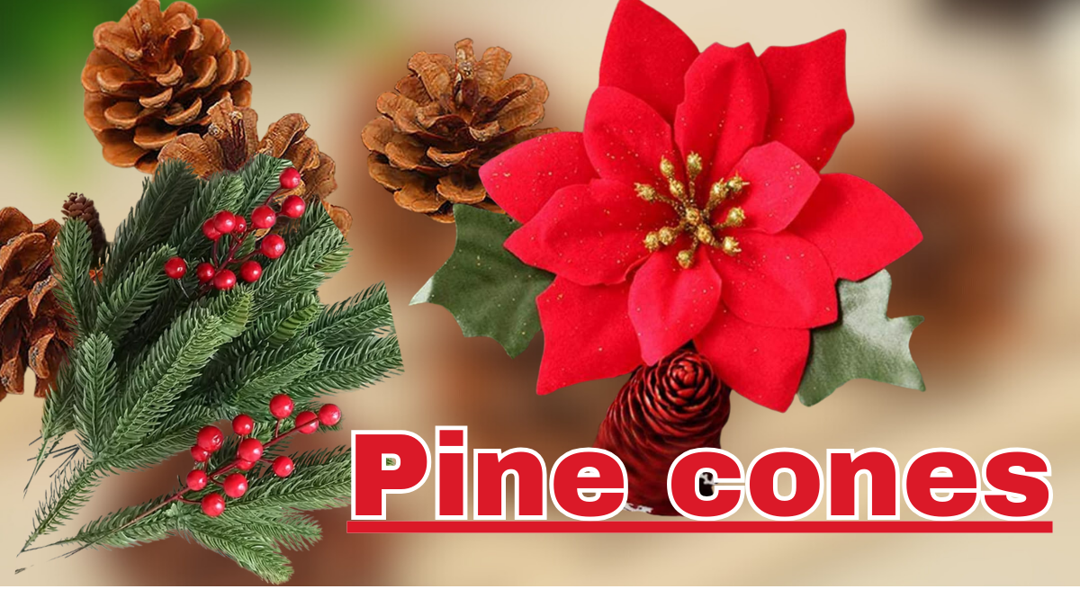 Pine cones ka close up view jo pine tree par lage hue hain