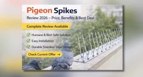 Pigeon Spikes – कबूतरों को दूर रखने के लिए सुरक्षित और टिकाऊ बर्ड कंट्रोल स्पाइक्स