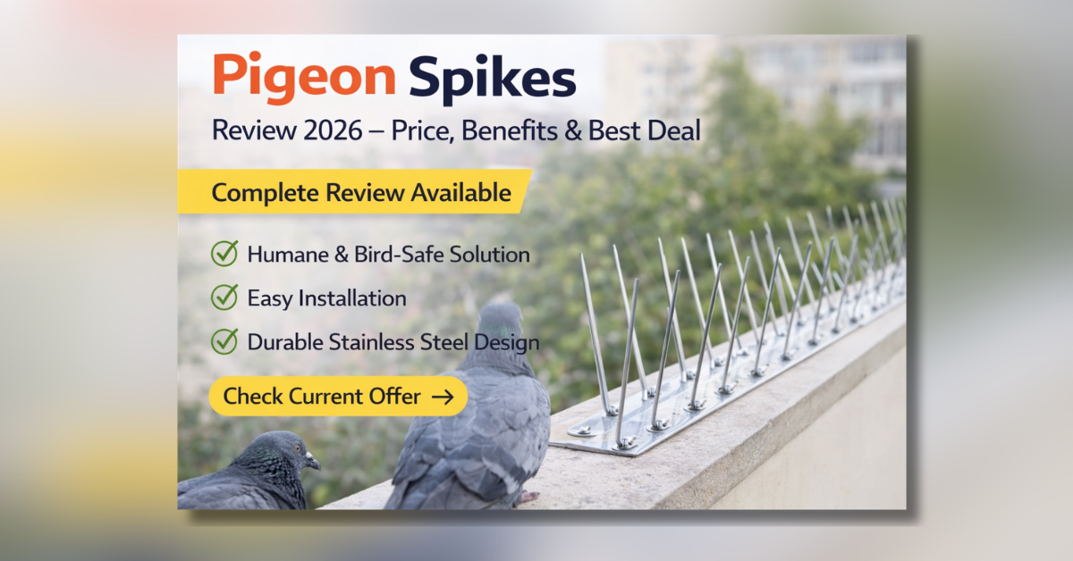 Pigeon Spikes – कबूतरों को दूर रखने के लिए सुरक्षित और टिकाऊ बर्ड कंट्रोल स्पाइक्स
