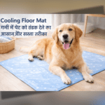 Cooling floor mat for pets in summer providing instant cooling comfort