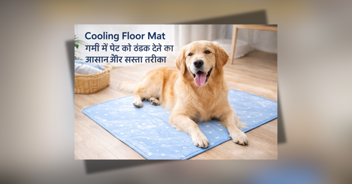 Cooling floor mat for pets in summer providing instant cooling comfort