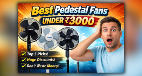 Best Pedestal Fan Under 3000