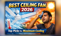 Best Ceiling Fan for Summer in India