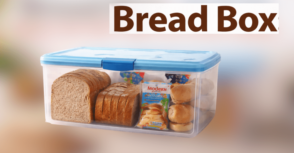 Signoraware Big Bread Box kitchen storage container