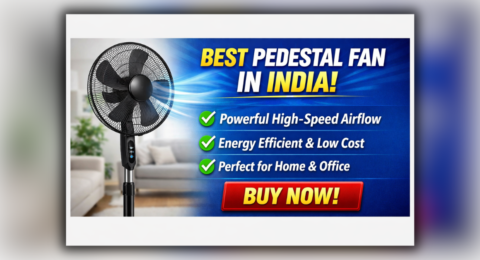 Pedestal Fan