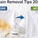 दाग हटाने के उपाय घरेलू तरीके से कपड़ों के जिद्दी दाग साफ करने के आसान टिप्स