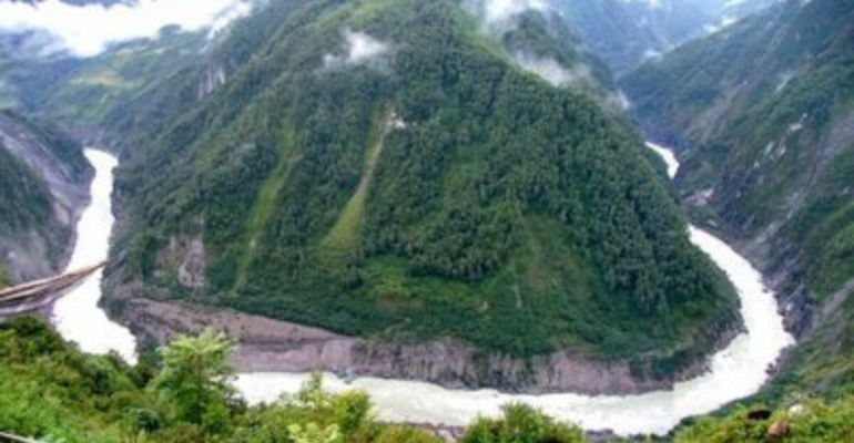 चीन का खतरनाक विषैला पौधा की तस्वीर