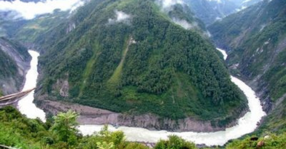 चीन का खतरनाक विषैला पौधा की तस्वीर