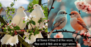 Life Shayari 2 Line 2026:
