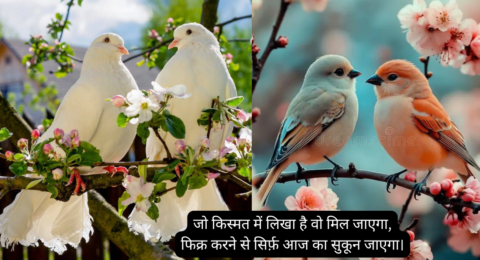 Life Shayari 2 Line 2026: