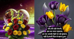 Beautiful Good Night Shayari | दिल को छू लेने वाली गुड नाइट शायरी