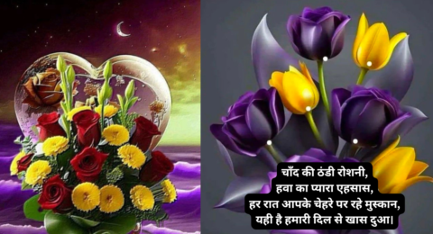 Beautiful Good Night Shayari | दिल को छू लेने वाली गुड नाइट शायरी